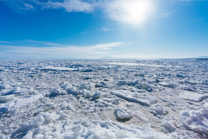 寒冷地?極域（南極?北極）での氷状観測手法の開発